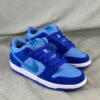 Nike SB Dunk Low Blue Raspberry - Image 6