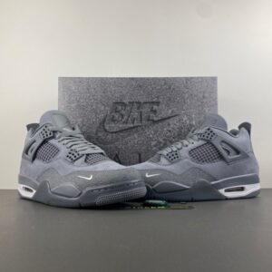 Nigel Sylvester x Air Jordan 4