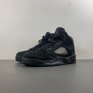 Jordan Air Jordan 5 “Black Cat“